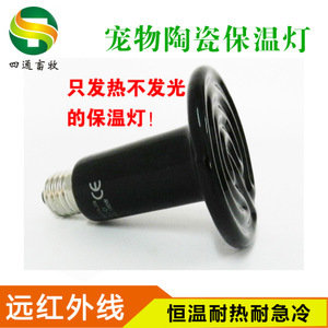 探尋寵物蜂產業 從價格、采購到供應商的全面解析